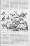 Illustrated Sporting and Dramatic News Saturday 22 October 1892 Page 11