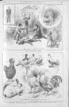 Illustrated Sporting and Dramatic News Saturday 26 November 1892 Page 17