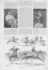 Illustrated Sporting and Dramatic News Saturday 17 June 1893 Page 19