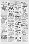 Illustrated Sporting and Dramatic News Saturday 21 April 1894 Page 31