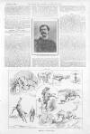 Illustrated Sporting and Dramatic News Saturday 10 November 1894 Page 15