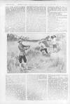 Illustrated Sporting and Dramatic News Saturday 30 November 1895 Page 13