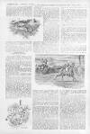 Illustrated Sporting and Dramatic News Saturday 30 November 1895 Page 15