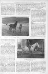 Illustrated Sporting and Dramatic News Saturday 29 May 1897 Page 40