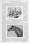 Illustrated Sporting and Dramatic News Saturday 18 February 1899 Page 19