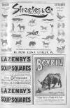 Illustrated Sporting and Dramatic News Saturday 09 December 1899 Page 43