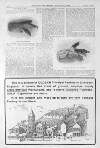 Illustrated Sporting and Dramatic News Saturday 04 January 1902 Page 32