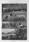 Illustrated Sporting and Dramatic News Saturday 18 January 1902 Page 8