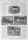 Illustrated Sporting and Dramatic News Saturday 26 April 1902 Page 22