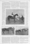 Illustrated Sporting and Dramatic News Saturday 03 May 1902 Page 9