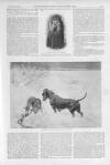 Illustrated Sporting and Dramatic News Saturday 29 November 1902 Page 21