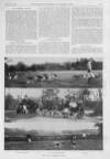 Illustrated Sporting and Dramatic News Saturday 10 January 1903 Page 21