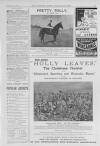 Illustrated Sporting and Dramatic News Saturday 19 November 1904 Page 41