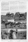 Illustrated Sporting and Dramatic News Saturday 01 September 1906 Page 13