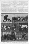 Illustrated Sporting and Dramatic News Saturday 22 December 1906 Page 9