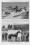 Illustrated Sporting and Dramatic News Saturday 03 August 1907 Page 8