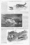 Illustrated Sporting and Dramatic News Saturday 21 November 1908 Page 12