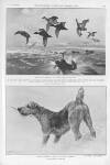 Illustrated Sporting and Dramatic News Saturday 22 January 1910 Page 15