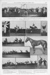 Illustrated Sporting and Dramatic News Saturday 22 January 1910 Page 21