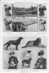 Illustrated Sporting and Dramatic News Saturday 05 February 1910 Page 21