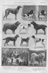 Illustrated Sporting and Dramatic News Saturday 19 February 1910 Page 22