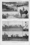 Illustrated Sporting and Dramatic News Saturday 28 January 1911 Page 6
