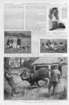 Illustrated Sporting and Dramatic News Saturday 28 January 1911 Page 11