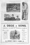 Illustrated Sporting and Dramatic News Saturday 25 February 1911 Page 28
