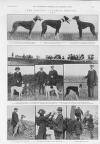 Illustrated Sporting and Dramatic News Saturday 21 October 1911 Page 23