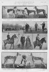 Illustrated Sporting and Dramatic News Saturday 13 January 1912 Page 6