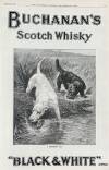 Illustrated Sporting and Dramatic News Saturday 23 March 1912 Page 25