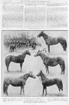 Illustrated Sporting and Dramatic News Saturday 07 December 1912 Page 9