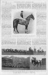 Illustrated Sporting and Dramatic News Saturday 08 March 1913 Page 17