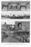 Illustrated Sporting and Dramatic News Saturday 15 March 1913 Page 14