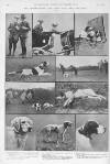 Illustrated Sporting and Dramatic News Saturday 03 May 1913 Page 22