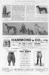 Illustrated Sporting and Dramatic News Saturday 15 November 1913 Page 36