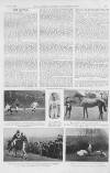 Illustrated Sporting and Dramatic News Saturday 11 April 1914 Page 9