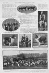 Illustrated Sporting and Dramatic News Saturday 11 April 1914 Page 11