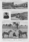 Illustrated Sporting and Dramatic News Saturday 17 October 1914 Page 5
