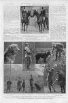 Illustrated Sporting and Dramatic News Saturday 30 January 1915 Page 23