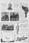 Illustrated Sporting and Dramatic News Saturday 13 March 1915 Page 28