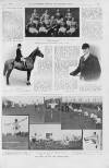 Illustrated Sporting and Dramatic News Saturday 03 April 1915 Page 19