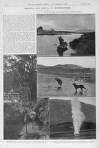 Illustrated Sporting and Dramatic News Saturday 09 October 1915 Page 18