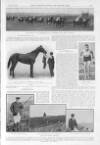 Illustrated Sporting and Dramatic News Saturday 01 January 1916 Page 21