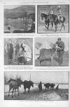 Illustrated Sporting and Dramatic News Saturday 29 January 1916 Page 6