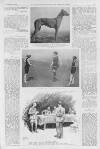 Illustrated Sporting and Dramatic News Saturday 28 September 1918 Page 11