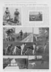 Illustrated Sporting and Dramatic News Saturday 25 January 1919 Page 11