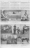 Illustrated Sporting and Dramatic News Saturday 01 November 1919 Page 7