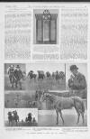 Illustrated Sporting and Dramatic News Saturday 15 November 1919 Page 7
