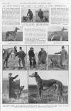 Illustrated Sporting and Dramatic News Saturday 12 March 1921 Page 21